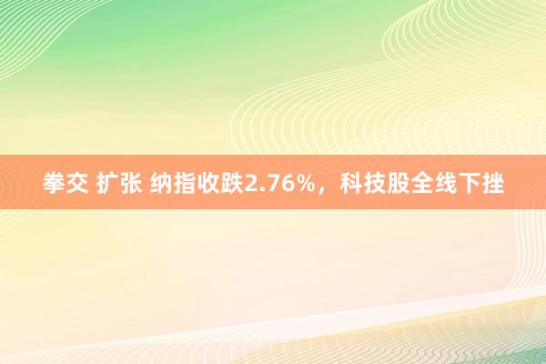 拳交 扩张 纳指收跌2.76%，科技股全线下挫