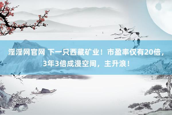 淫淫网官网 下一只西藏矿业！市盈率仅有20倍，3年3倍成漫空间，主升浪！