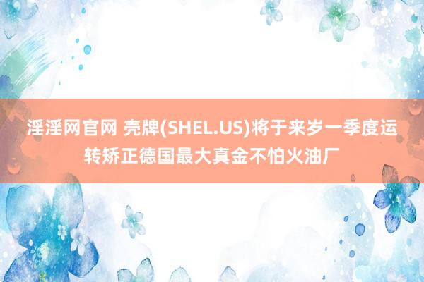 淫淫网官网 壳牌(SHEL.US)将于来岁一季度运转矫正德国最大真金不怕火油厂