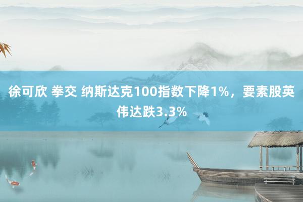 徐可欣 拳交 纳斯达克100指数下降1%，要素股英伟达跌3.3%