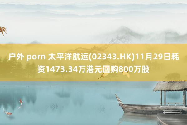 户外 porn 太平洋航运(02343.HK)11月29日耗资1473.34万港元回购800万股