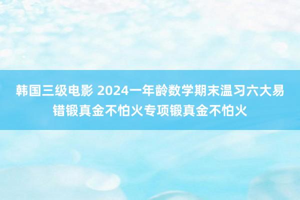 韩国三级电影 2024一年龄数学期末温习六大易错锻真金不怕火专项锻真金不怕火