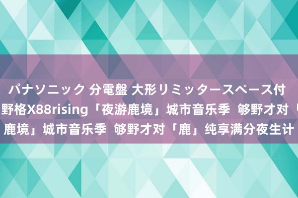 パナソニック 分電盤 大形リミッタースペース付 露出・半埋込両用形 野格X88rising「夜游鹿境」城市音乐季  够野才对「鹿」纯享满分夜生计