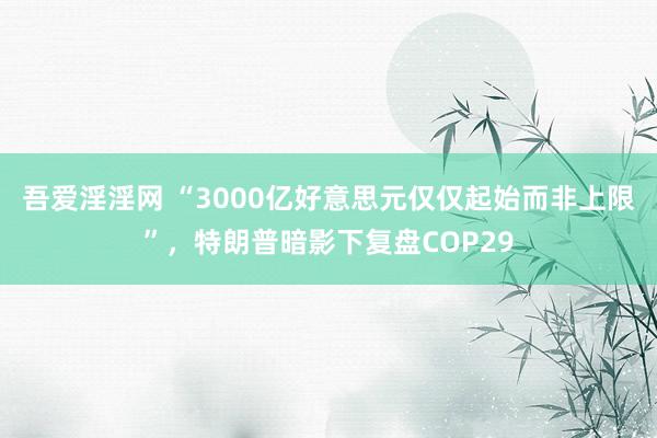 吾爱淫淫网 “3000亿好意思元仅仅起始而非上限”，特朗普暗影下复盘COP29