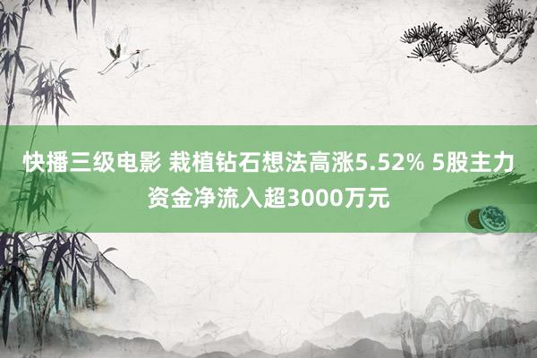 快播三级电影 栽植钻石想法高涨5.52% 5股主力资金净流入超3000万元