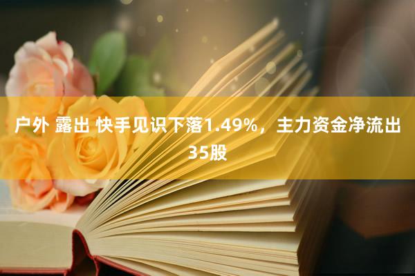 户外 露出 快手见识下落1.49%，主力资金净流出35股