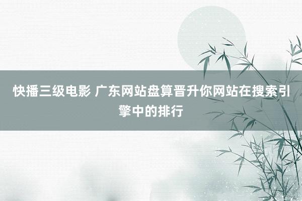 快播三级电影 广东网站盘算晋升你网站在搜索引擎中的排行