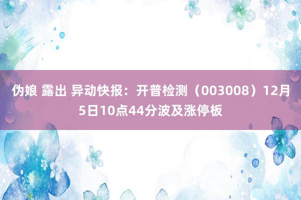 伪娘 露出 异动快报：开普检测（003008）12月5日10点44分波及涨停板