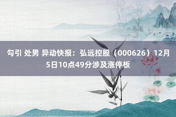 勾引 处男 异动快报：弘远控股（000626）12月5日10点49分涉及涨停板