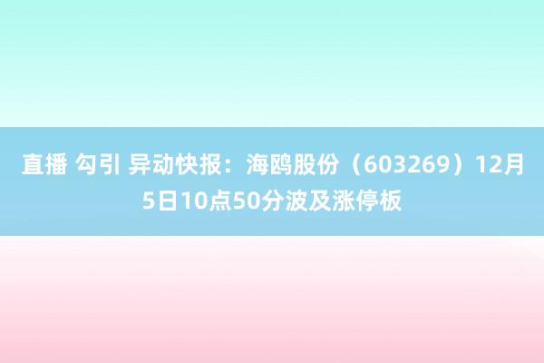 直播 勾引 异动快报：海鸥股份（603269）12月5日10点50分波及涨停板