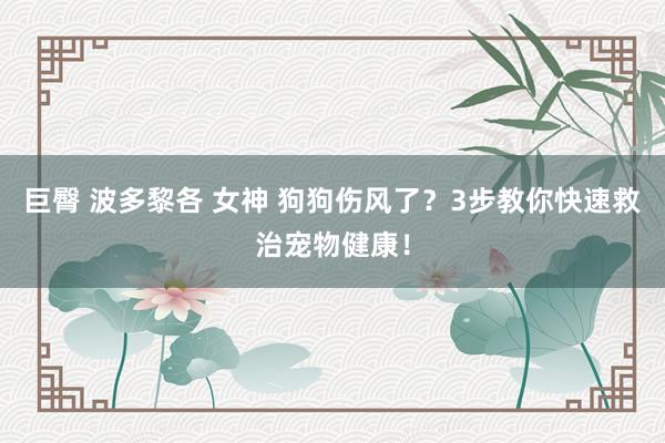 巨臀 波多黎各 女神 狗狗伤风了？3步教你快速救治宠物健康！