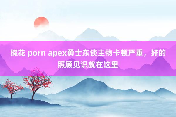 探花 porn apex勇士东谈主物卡顿严重，好的照顾见识就在这里