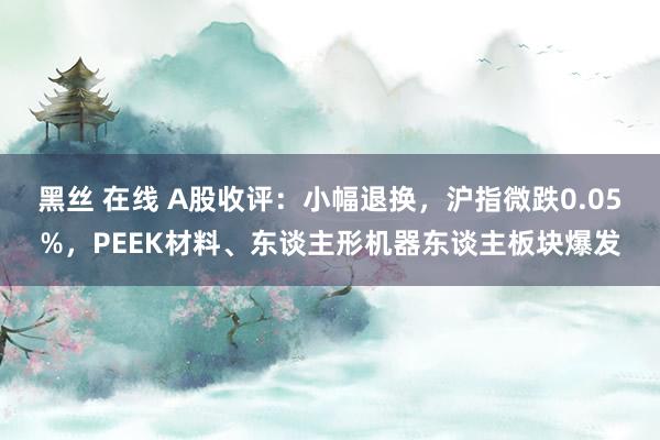 黑丝 在线 A股收评：小幅退换，沪指微跌0.05%，PEEK材料、东谈主形机器东谈主板块爆发