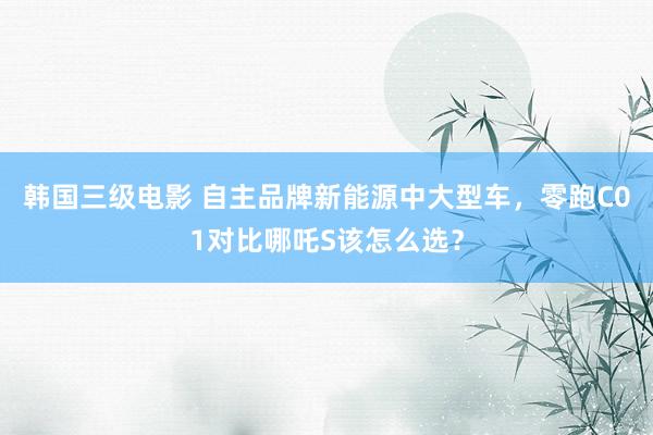 韩国三级电影 自主品牌新能源中大型车，零跑C01对比哪吒S该怎么选？