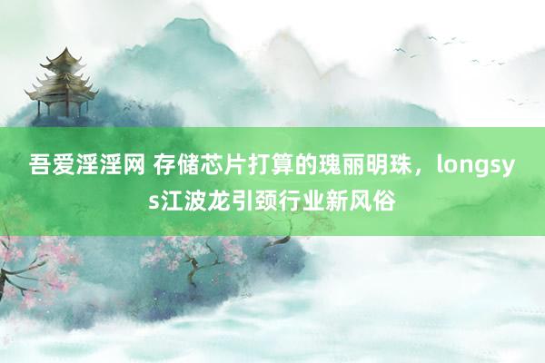 吾爱淫淫网 存储芯片打算的瑰丽明珠，longsys江波龙引颈行业新风俗