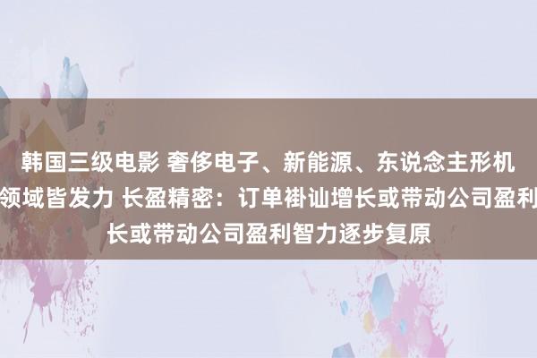 韩国三级电影 奢侈电子、新能源、东说念主形机器东说念主多领域皆发力 长盈精密：订单褂讪增长或带动公司盈利智力逐步复原