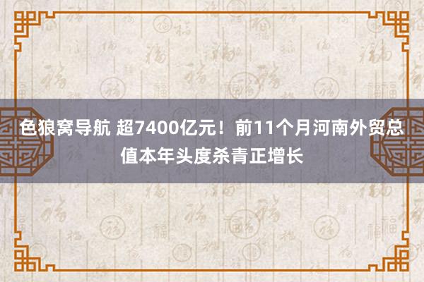 色狼窝导航 超7400亿元！前11个月河南外贸总值本年头度杀青正增长