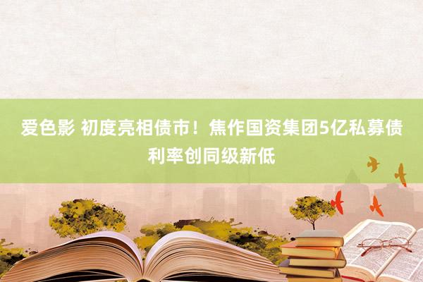 爱色影 初度亮相债市！焦作国资集团5亿私募债利率创同级新低