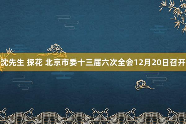 沈先生 探花 北京市委十三届六次全会12月20日召开