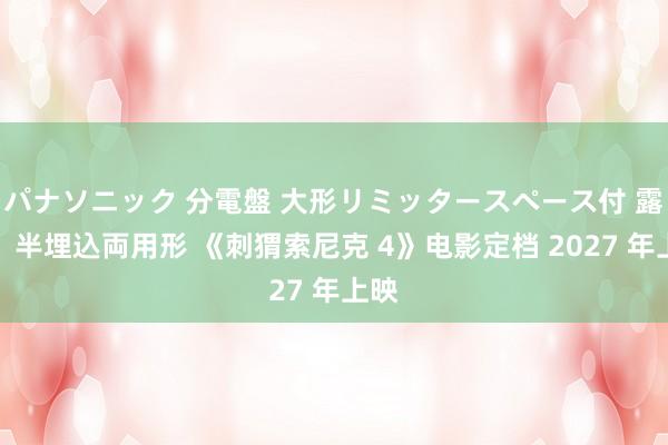 パナソニック 分電盤 大形リミッタースペース付 露出・半埋込両用形 《刺猬索尼克 4》电影定档 2027 年上映