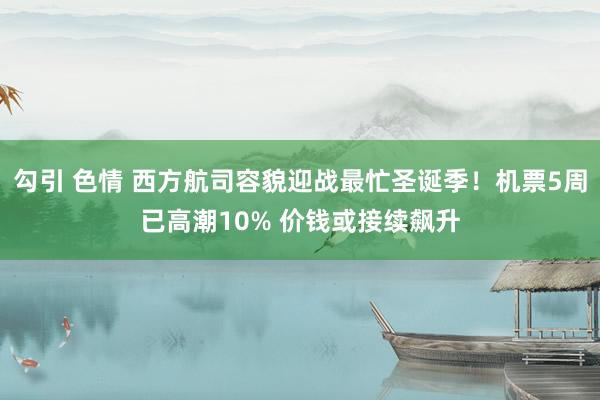 勾引 色情 西方航司容貌迎战最忙圣诞季！机票5周已高潮10% 价钱或接续飙升