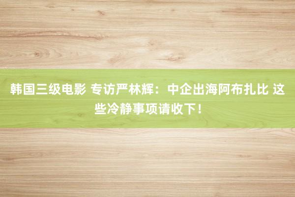 韩国三级电影 专访严林辉：中企出海阿布扎比 这些冷静事项请收下！