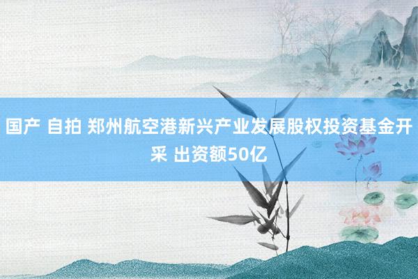 国产 自拍 郑州航空港新兴产业发展股权投资基金开采 出资额50亿