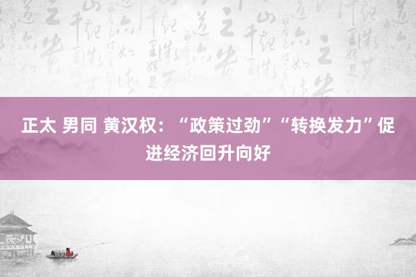 正太 男同 黄汉权：“政策过劲”“转换发力”促进经济回升向好