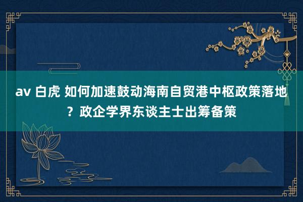 av 白虎 如何加速鼓动海南自贸港中枢政策落地？政企学界东谈主士出筹备策