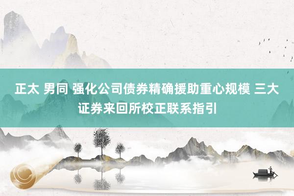 正太 男同 强化公司债券精确援助重心规模 三大证券来回所校正联系指引