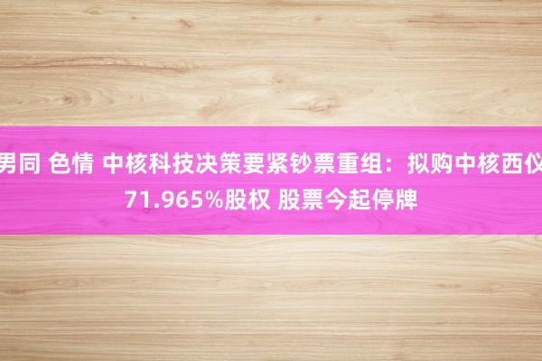 男同 色情 中核科技决策要紧钞票重组：拟购中核西仪71.965%股权 股票今起停牌