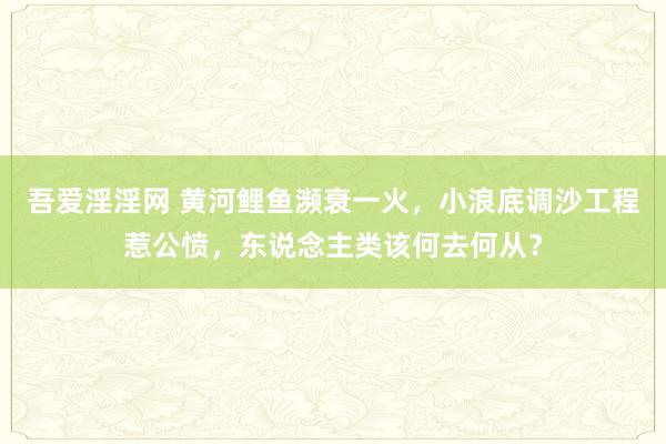 吾爱淫淫网 黄河鲤鱼濒衰一火，小浪底调沙工程惹公愤，东说念主类该何去何从？