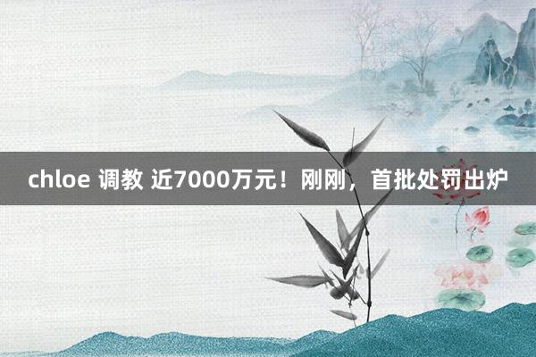 chloe 调教 近7000万元！刚刚，首批处罚出炉