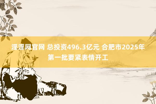 淫淫网官网 总投资496.3亿元 合肥市2025年第一批要紧表情开工