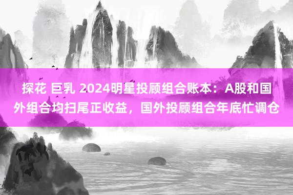 探花 巨乳 2024明星投顾组合账本：A股和国外组合均扫尾正收益，国外投顾组合年底忙调仓