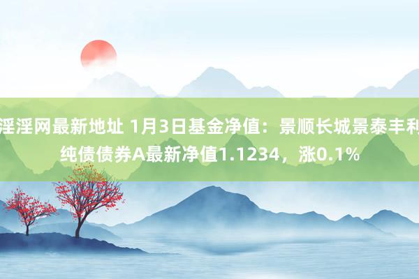 淫淫网最新地址 1月3日基金净值：景顺长城景泰丰利纯债债券A最新净值1.1234，涨0.1%