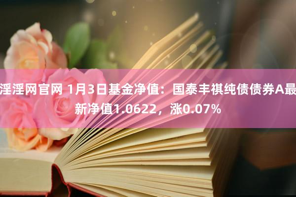 淫淫网官网 1月3日基金净值：国泰丰祺纯债债券A最新净值1.0622，涨0.07%