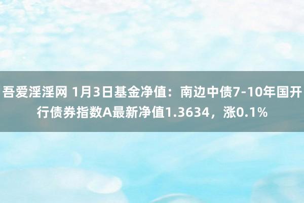 吾爱淫淫网 1月3日基金净值：南边中债7-10年国开行债券指数A最新净值1.3634，涨0.1%