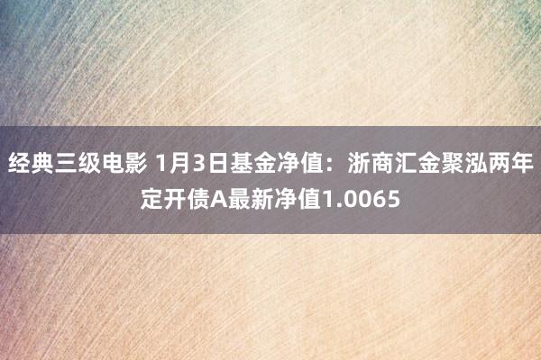 经典三级电影 1月3日基金净值：浙商汇金聚泓两年定开债A最新净值1.0065