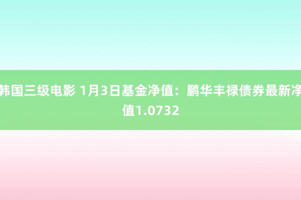 韩国三级电影 1月3日基金净值：鹏华丰禄债券最新净值1.0732