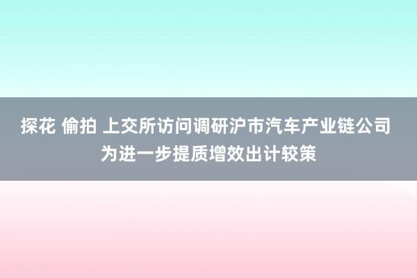 探花 偷拍 上交所访问调研沪市汽车产业链公司 为进一步提质增效出计较策