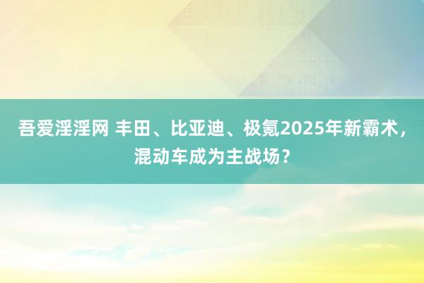 吾爱淫淫网 丰田、比亚迪、极氪2025年新霸术，混动车成为主战场？