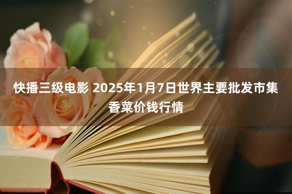 快播三级电影 2025年1月7日世界主要批发市集香菜价钱行情