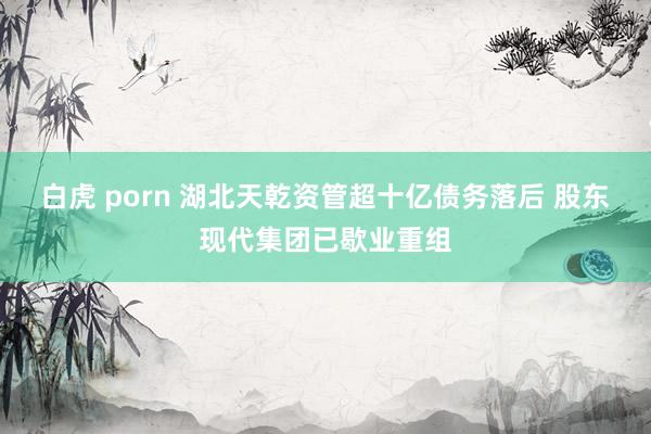 白虎 porn 湖北天乾资管超十亿债务落后 股东现代集团已歇业重组