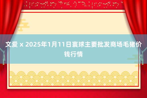 文爱 x 2025年1月11日寰球主要批发商场毛猪价钱行情