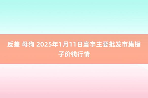 反差 母狗 2025年1月11日寰宇主要批发市集橙子价钱行情