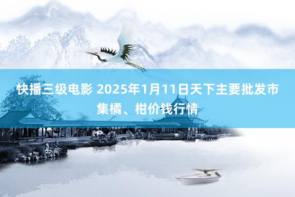 快播三级电影 2025年1月11日天下主要批发市集橘、柑价钱行情