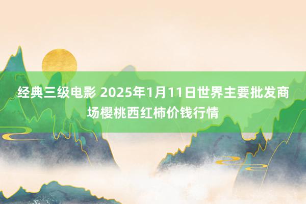 经典三级电影 2025年1月11日世界主要批发商场樱桃西红柿价钱行情