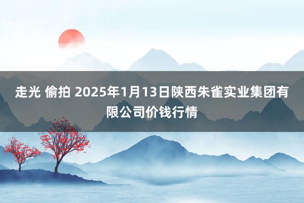 走光 偷拍 2025年1月13日陕西朱雀实业集团有限公司价钱行情