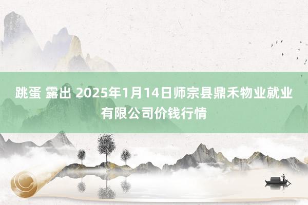 跳蛋 露出 2025年1月14日师宗县鼎禾物业就业有限公司价钱行情